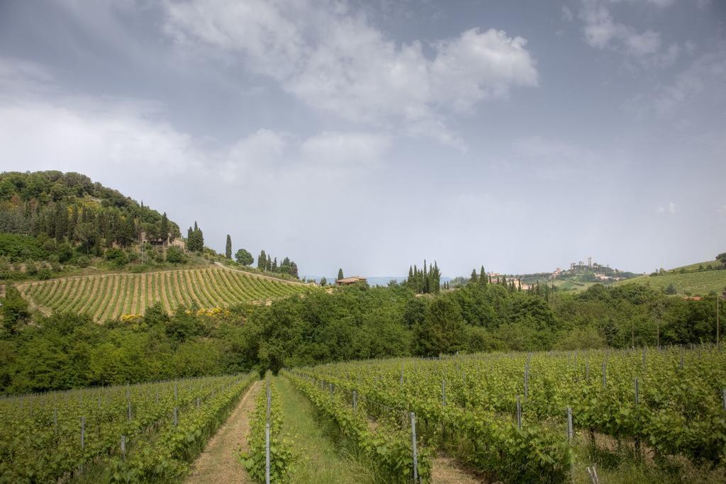 Podere Montese Country House San Gimignano Exterior photo